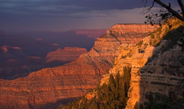 Stage a Grand Canyon Wedding for Unforgettable Memories in an Unforgettable Setting!