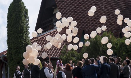 Gay-Friendly Wedding Venues Worldwide